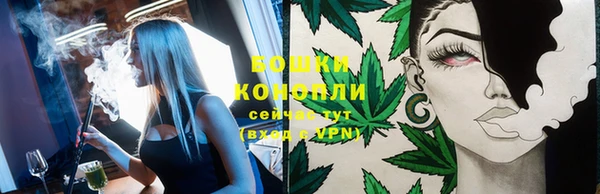 прущие крисы Каменка