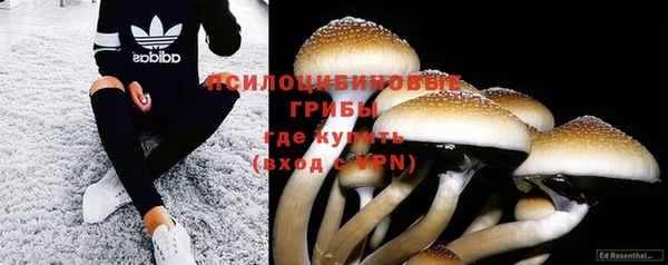 соль курить ск Армянск