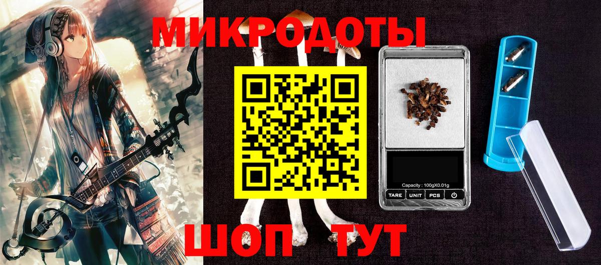 Псилоцибиновые грибы Psilocybine cubensis  Белорецк 