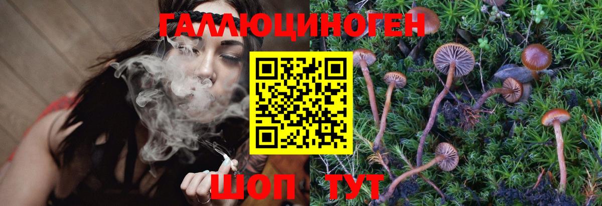 Галлюциногенные грибы Magic Shrooms Белорецк