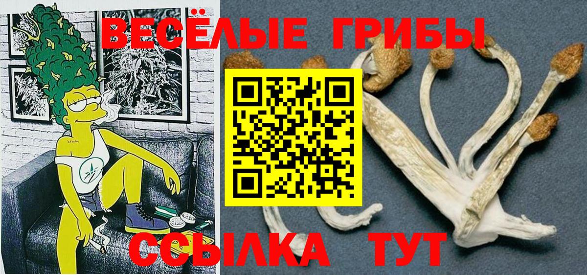 закладки  Вход с VPN  Белорецк  Галлюциногенные грибы Magic Shrooms 