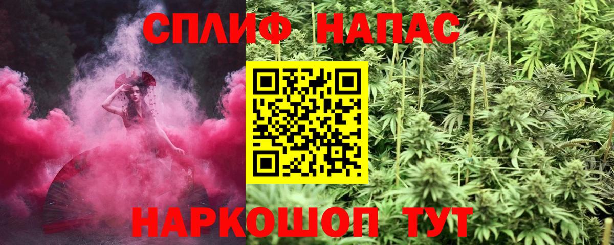 Конопля гибрид Белорецк
